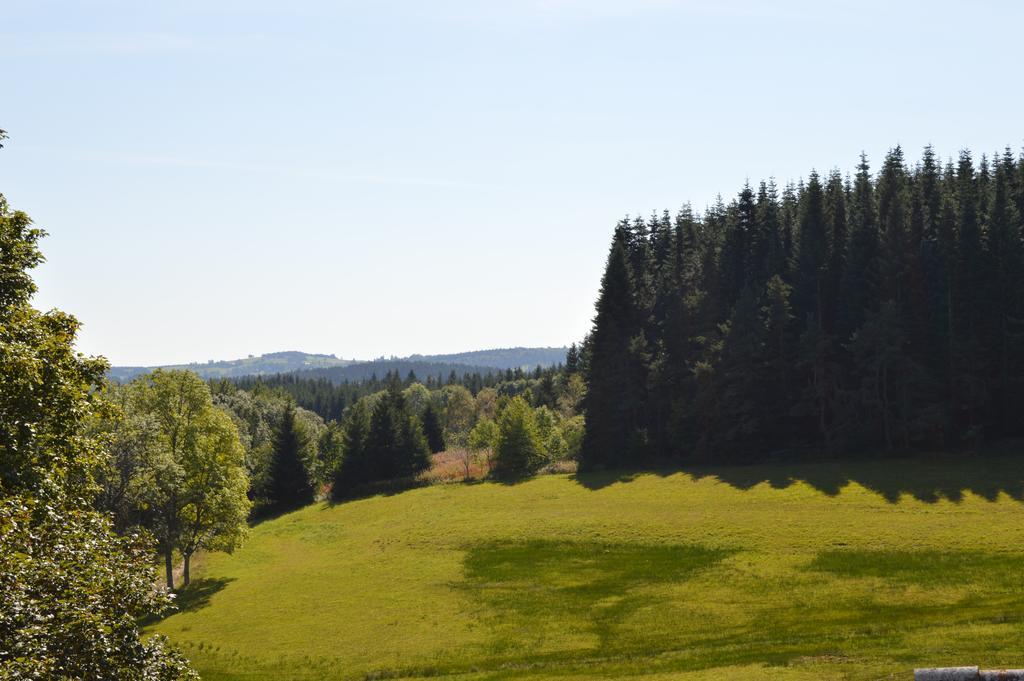 Logis Hotel Le Relais Du Bois Vialotte เลอฌ็องบง-ซูร์-ลีญง ภายนอก รูปภาพ