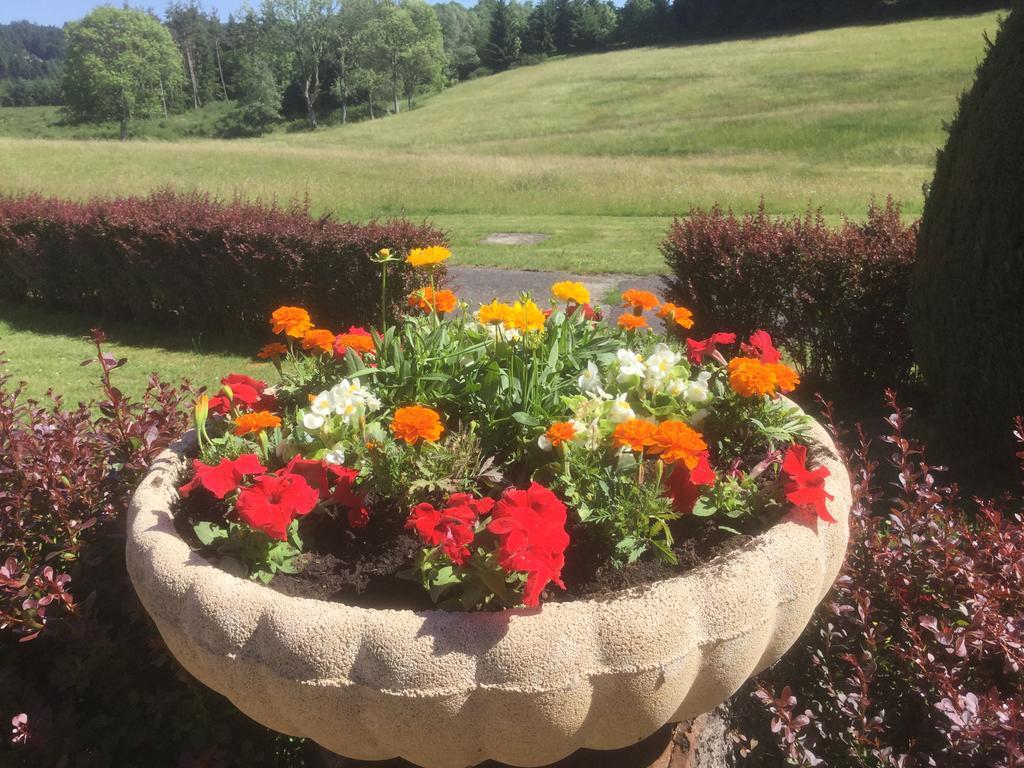 Logis Hotel Le Relais Du Bois Vialotte เลอฌ็องบง-ซูร์-ลีญง ภายนอก รูปภาพ